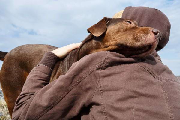 Une personne enlace tendrement un chien marron.