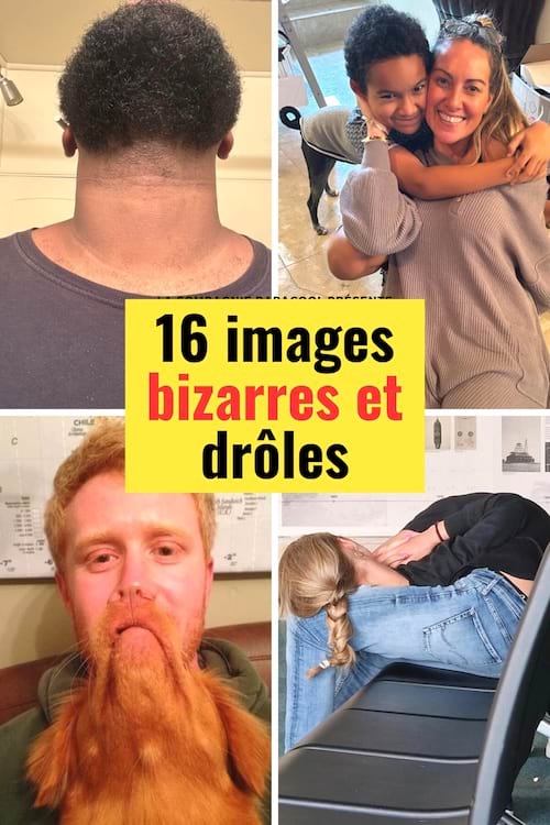 4 images bizarres et drôles à regarder