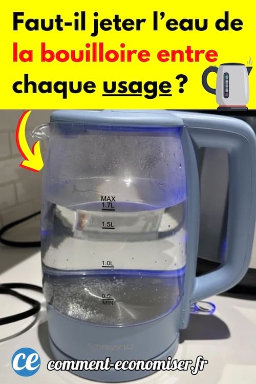 une bouilloire avec de l'eau dedans