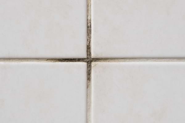 Joints de carrelage blancs avec traces de salet&eacute;.