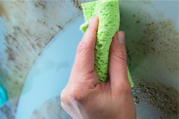 Main nettoyant une surface grasse avec une éponge verte.