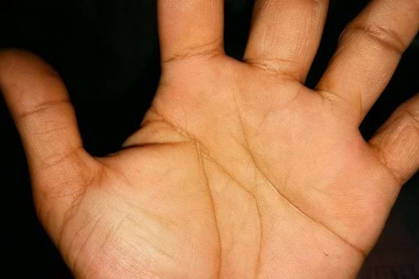Une paume nue montre ses lignes sans lettre ni symbole.