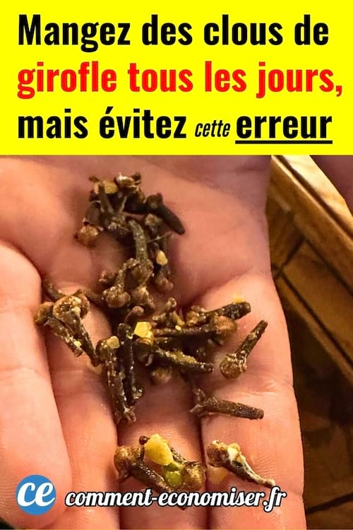 Des clous de girofle dans la main à manger