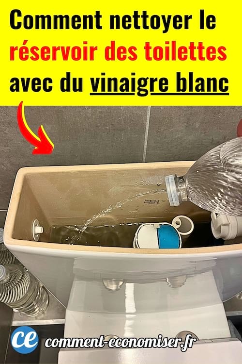 Du vinaigre blanc versé dans le réservoir des toilettes pour le nettoyer