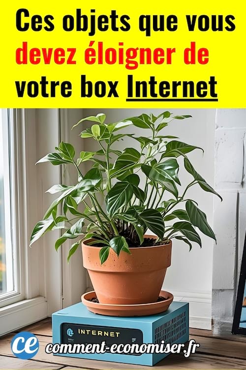 une plante sur une box internet à la maison