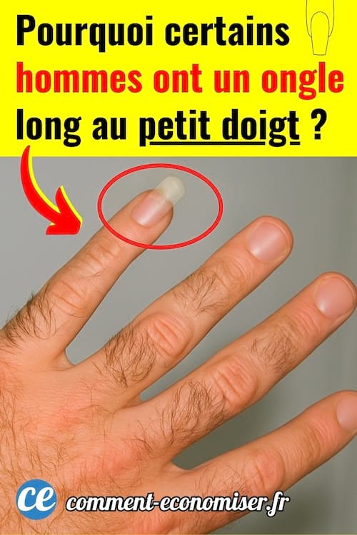 une main d'un homme qui a un ongle long au petit doigt