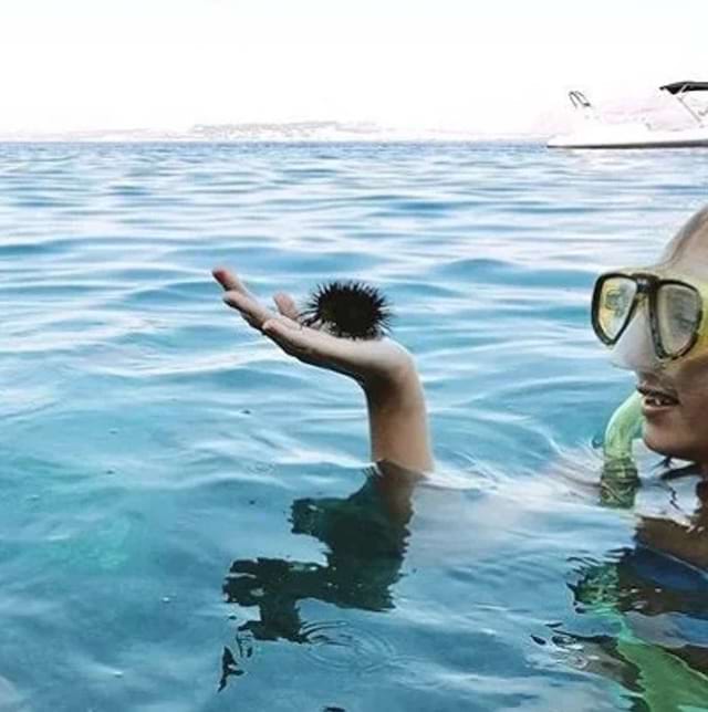 Plongeuse tenant un oursin dans la mer.