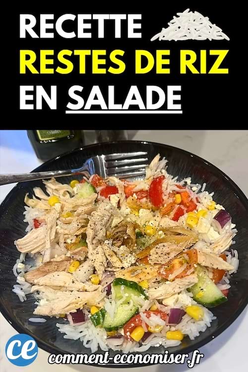 Une assiette contenant une salade froide à base de riz, de légumes variés et de poulet effiloché.