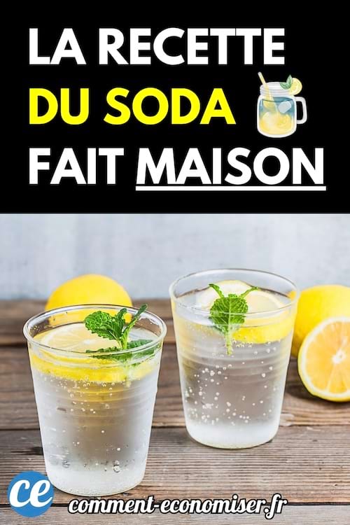 Deux verres de soda maison avec des tranches de citron et des feuilles de menthe sur une table en bois.