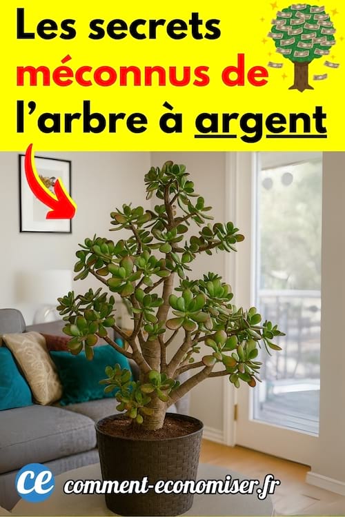 Un arbre à argent dans le salon d'une maison