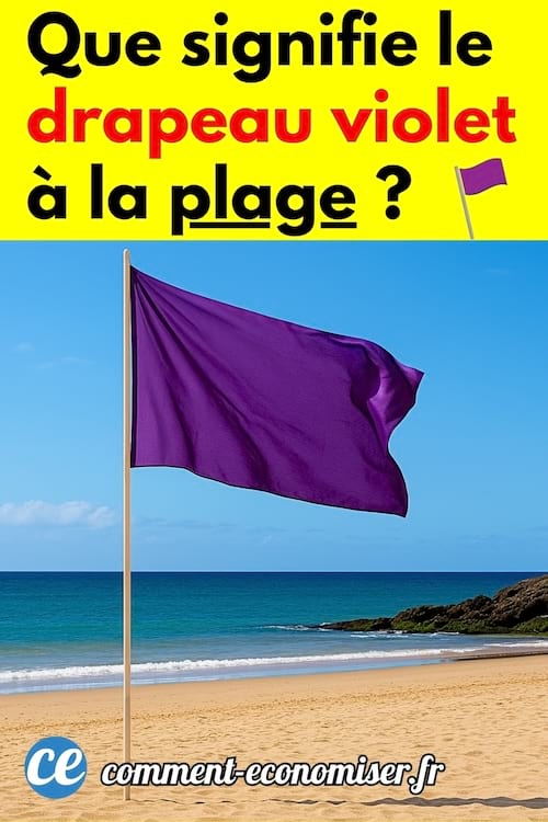 Un drapeau violet sur la plage avec un ciel bleu