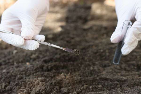 Mains gantées prélevant un échantillon de sol avec une spatule et un tube.