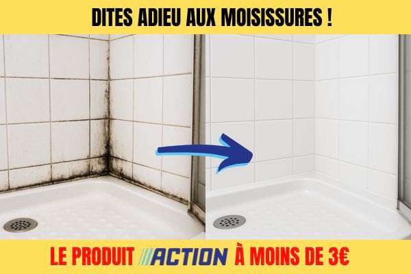 Joints de carrelage avant et près traitement du produit anti-moisissure de chez Action