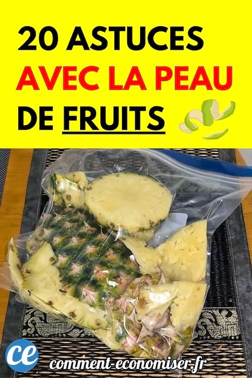 Morceaux d’ananas avec peau conservés dans un sac plastique.