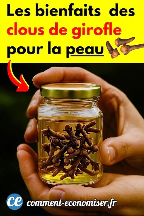 un pot avec des clous de girofle qui macèrent dans l'eau