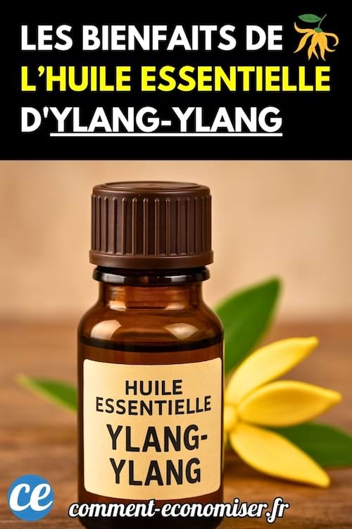 Un flacon d’huile essentielle d’ylang-ylang posé avec une fleur.