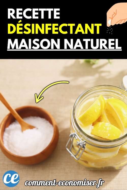 Un bocal en verre rempli de citrons et un petit bol de sel avec une cuillère en bois.