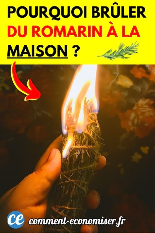 Du romarin qui est en train de brûler à la maison dans une maison