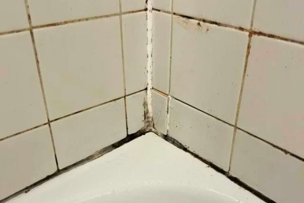 Des joints de carrelage dans une salle de bain sont noircis par la moisissure.