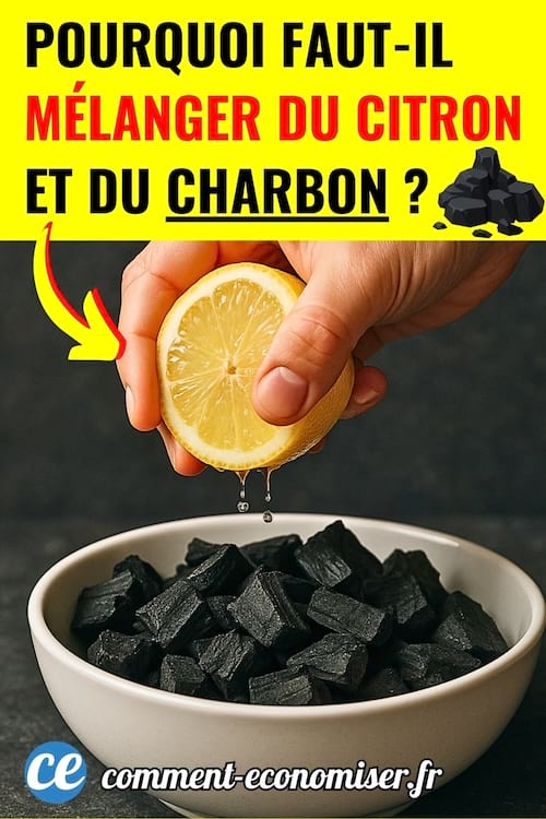 Du citron qui est versé sur du charbon dans un bol blanc
