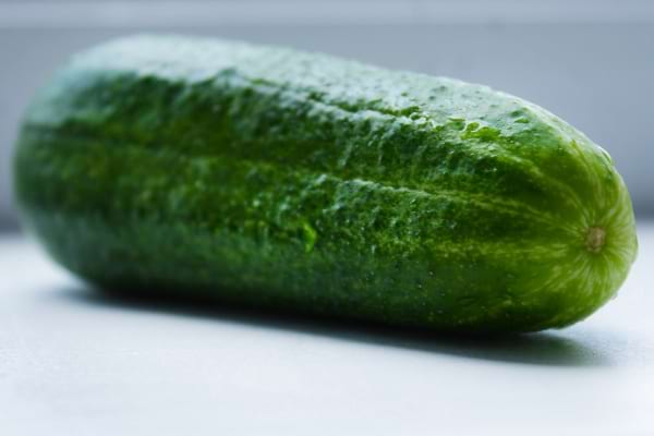 Un concombre vert frais est posé sur une surface claire.