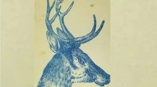 le dessin d'un cerf dans lequel se cache un lapin