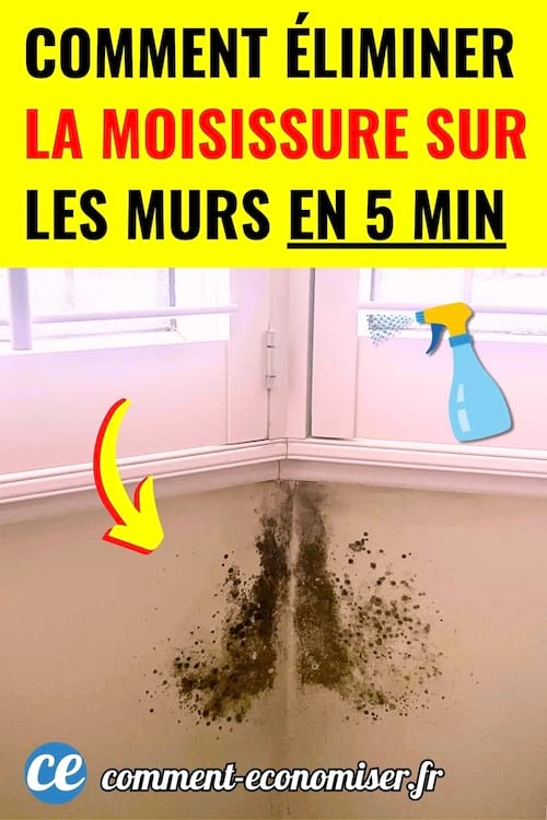 Un mur plein de moisissure qui doit être enlevé