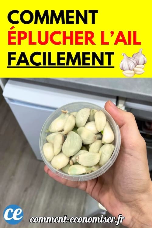 Une main tient un bol rempli de gousses d’ail épluchées.