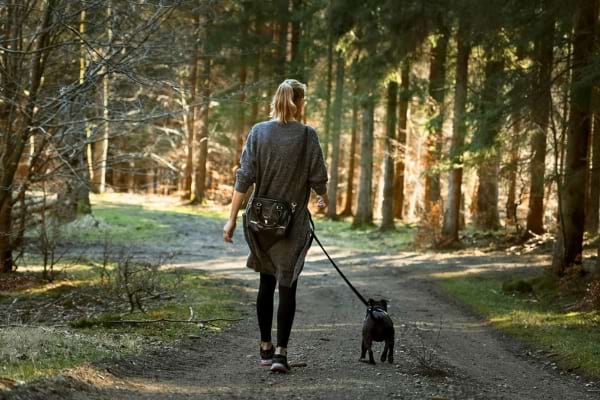 Une femme marche dans une forêt avec son chien tenu en laisse.