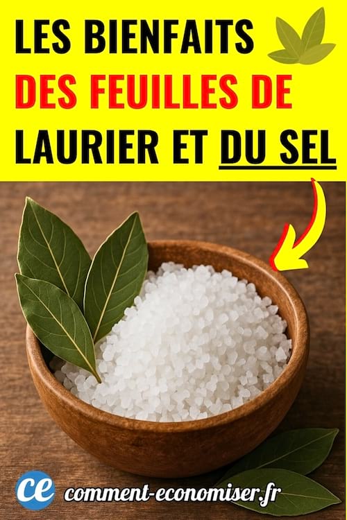 Des feuilles de laurier avec du sel dans une coupelle