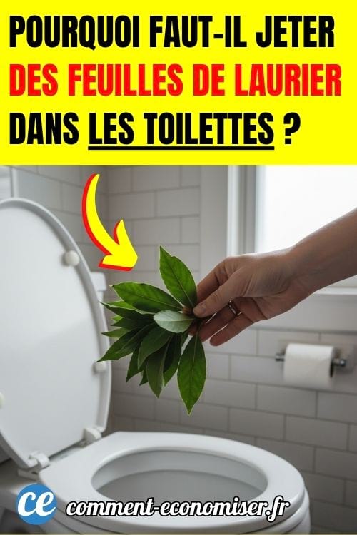 Une main qui tient des feuilles de laurier au-dessus de la cuvette des toilettes