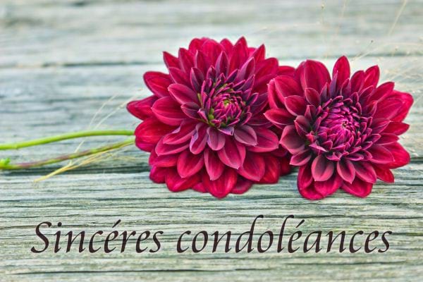 Deux fleurs rouges avec texte « sincères condoléances ».