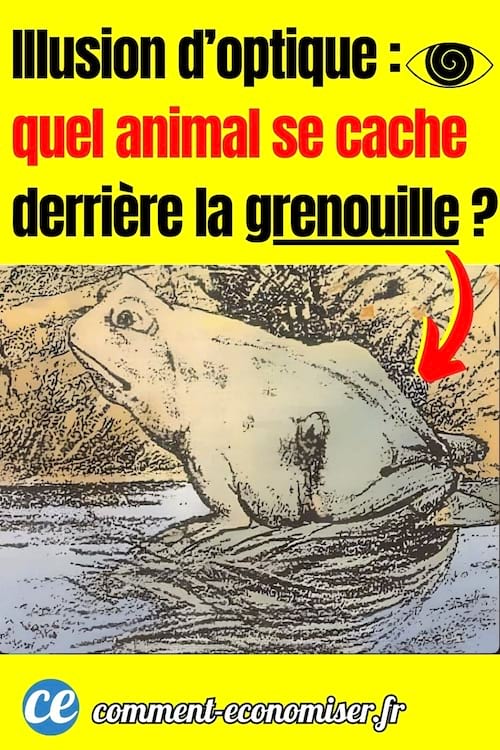 un dessin de grenouille créant une illusion d'optique