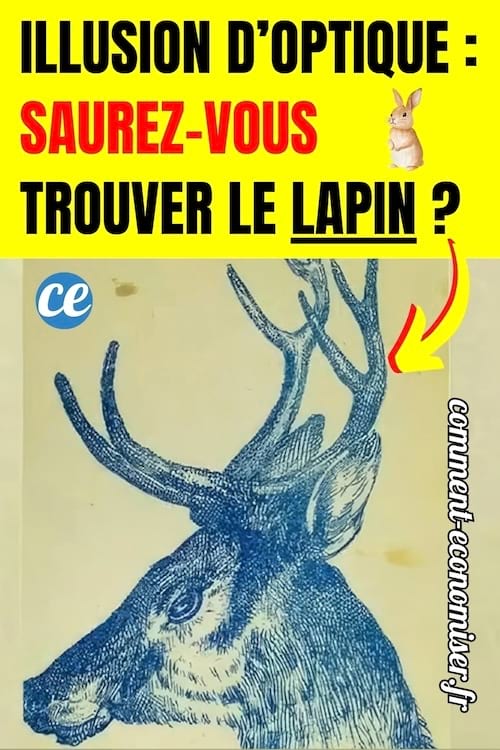 une image d'un cerf qui cache une image de lapin