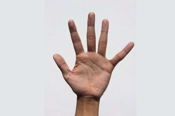 Main ouverte avec paume tourn&eacute;e vers l&rsquo;objectif.