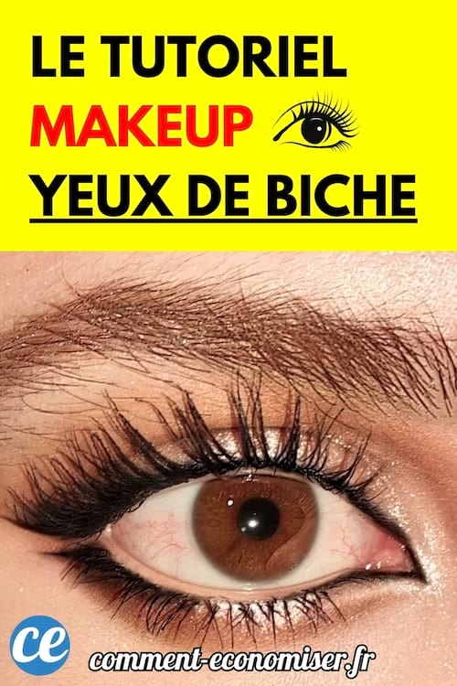 Un œil maquillé avec eyeliner et cils allongés effet yeux de biche.