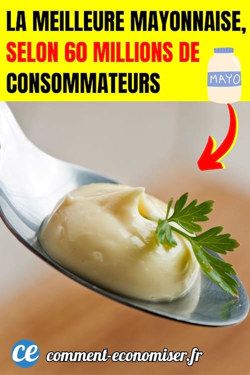 une mayonnaise industrielle dans une petite cuillère