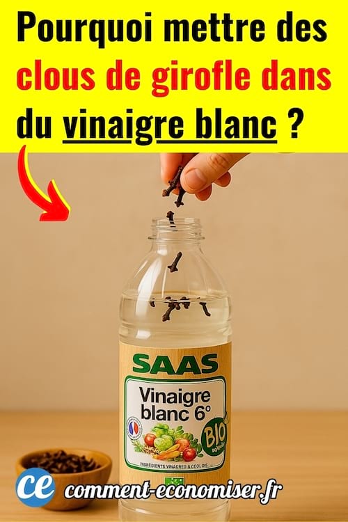 Une main qui met des clous de girofle dans une bouteille de vinaigre blanc
