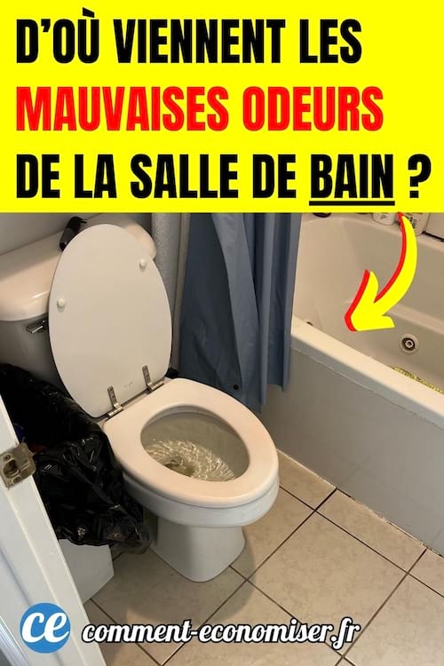 une salle de bain avec une baignoire et des wc