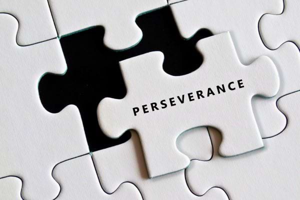 Une pièce de puzzle blanche avec le mot "perseverance" écrit dessus.