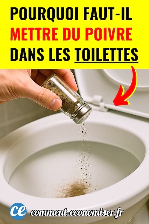 Du poivre qui est versé dans les toilettes