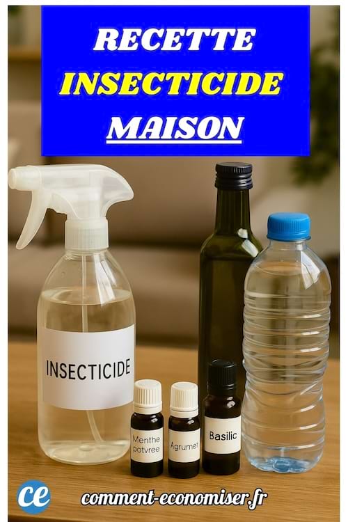 Flacons huiles essentielles et spray insecticide maison.