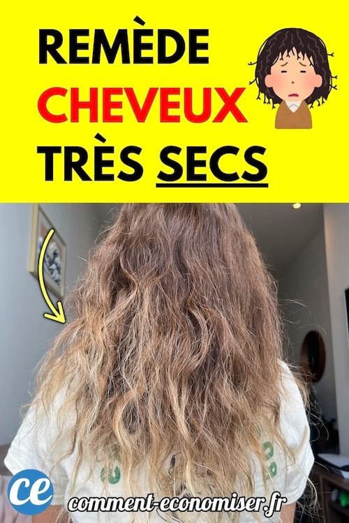Cheveux longs et très secs vus de dos sur une femme.