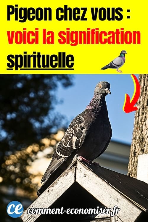 un pigeon posé sur le toit d'une petite maison en bois