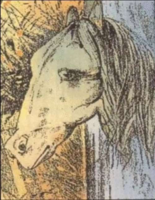 dessin créant une illusion d'optique avec une grenouille et un cheval