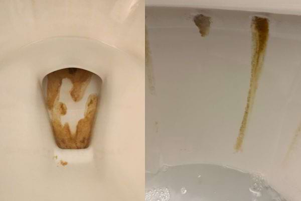 Des traces de calcaire brunâtres dans la cuvette des toilettes.