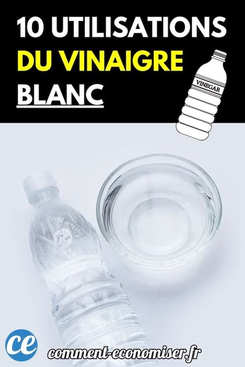 Une bouteille et un bol en verre remplis de vinaigre blanc.