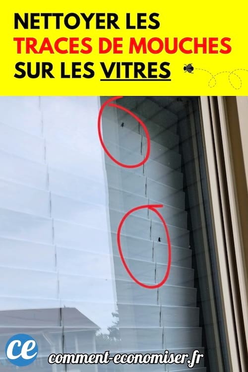 Une vitre avec des traces de mouches encerclées en rouge.