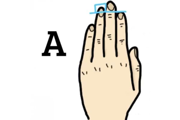 L'annulaire de la main qui est le doigt le plus long