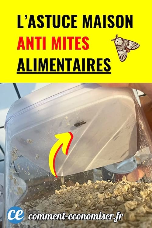 Boîte de céréales avec mite à l’intérieur et flèche jaune indiquant une astuce anti mites alimentaires.